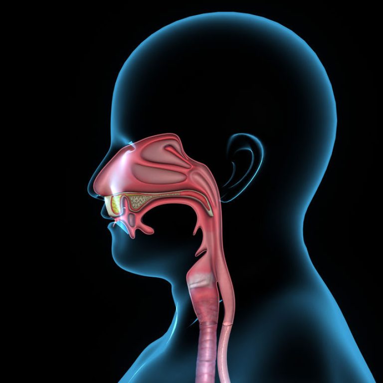 Airway Dentist Dubai